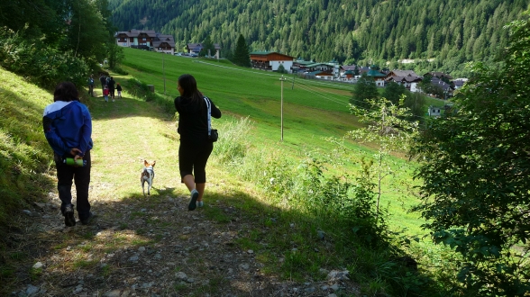 Wilf und Hanni im Val di Peio in Sdtirol